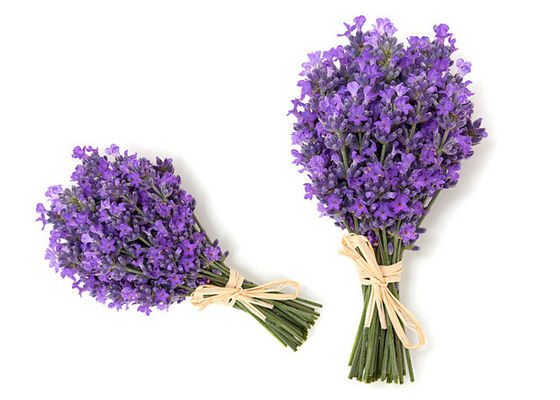 50cm 60cm Preserved Fresh Flower Dry Lavender Bunches OEM
