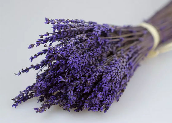 50cm 60cm Preserved Fresh Flower Dry Lavender Bunches OEM