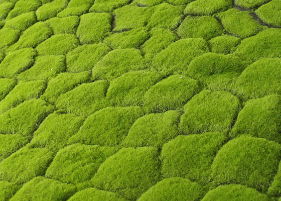 High Simulation Silk PE Artificial Moss Mat Panels 40*60cm