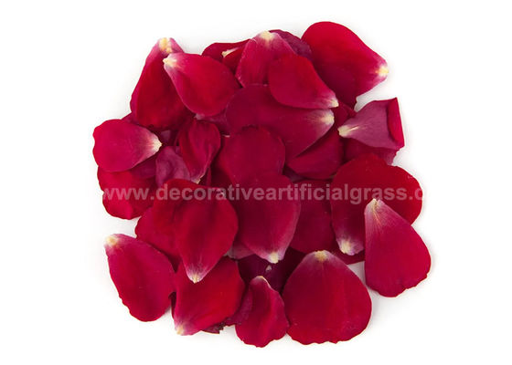 Dried Red Rose Petals For DIY Projects Biodegradable Confetti