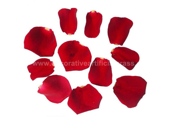 Dried Red Rose Petals For DIY Projects Biodegradable Confetti