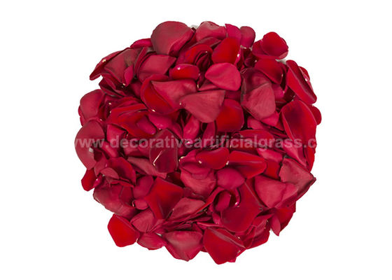 Dried Red Rose Petals For DIY Projects Biodegradable Confetti