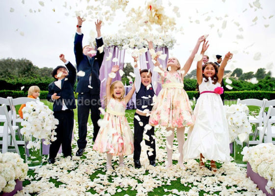 BSCI-de Realistische Zijde Bulkrose petals for weddings van de Zijdedoek