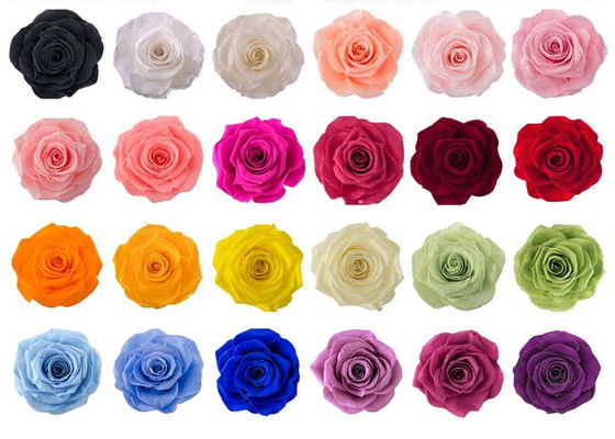 OEM ODM 60+ Colors Real Preserved Roses For Valentine'S Day