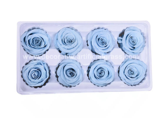 OEM ODM 60+ Colors Real Preserved Roses For Valentine'S Day