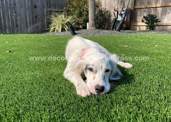 No Fading Lead-Free Non-Toxic Soft Fake Artificial Grass For Pets