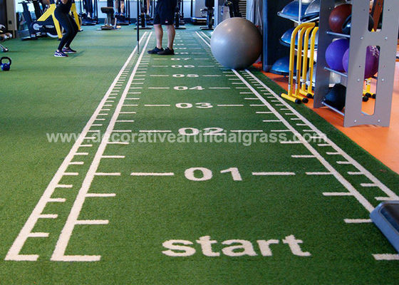 Latex Backing Artificial Indoor Grass Carpet For Gym OEM ODM