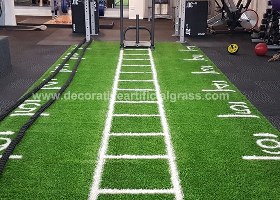 Latex Backing Artificial Indoor Grass Carpet For Gym OEM ODM