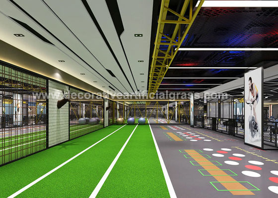 Indoor Fitness Center Grass Turf 63500D 69300D Synthetic Artificial Grass Mat