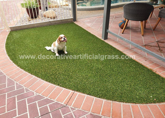 BSCI Pet Friendly Green Decorative Artificial Grass Rug 4m*25m 2m*25m