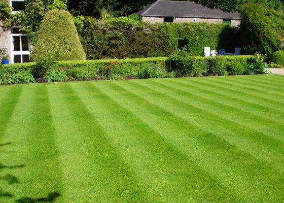 PE+PP Synthetic Decorative Artificial Grass Lawn For Outdoor Yard Garden