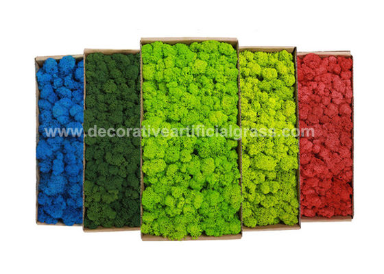 Environmental-Friendly Silk PE Faux Fake Moss Wall Art Panels 450g/Set