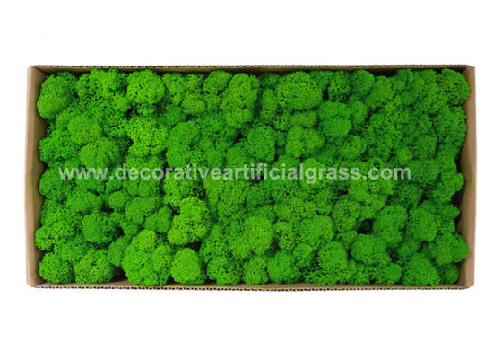 Environmental-Friendly Silk PE Faux Fake Moss Wall Art Panels 450g/Set