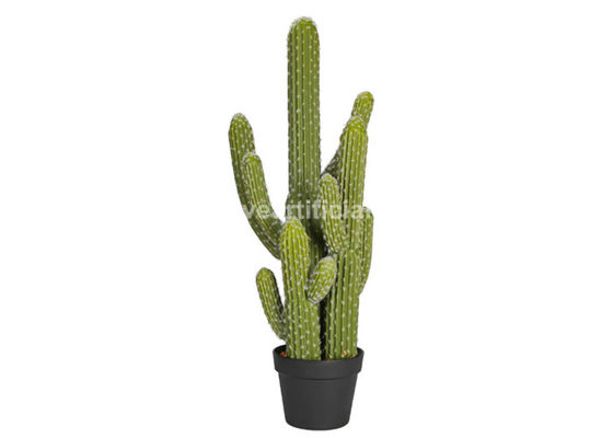 Eco-Friendly Plastic PE Faux Ever Greenery Fake Cactus Plant OEM ODM