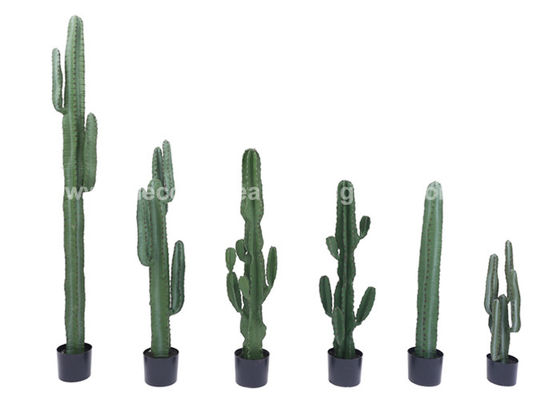 Eco-Friendly Plastic PE Faux Ever Greenery Fake Cactus Plant OEM ODM