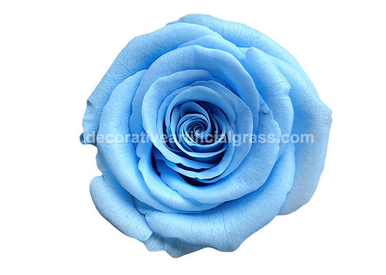 Dehydrated Eternal Long Lasting Roses In A Box Non-Toxic