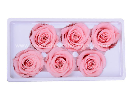 Dehydrated Eternal Long Lasting Roses In A Box Non-Toxic