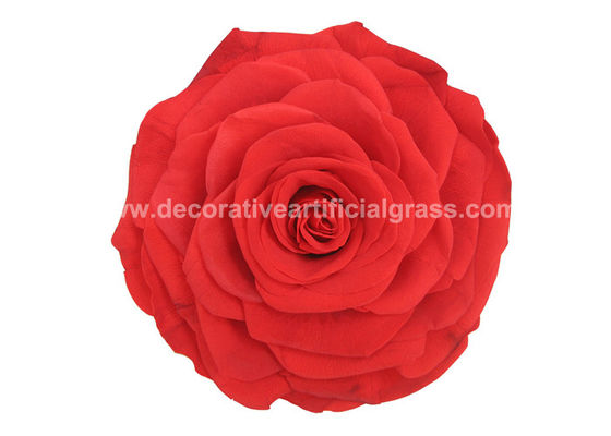 15cm 20cm Preserved Rose Heads Forever Lasting Roses 100% Handmade