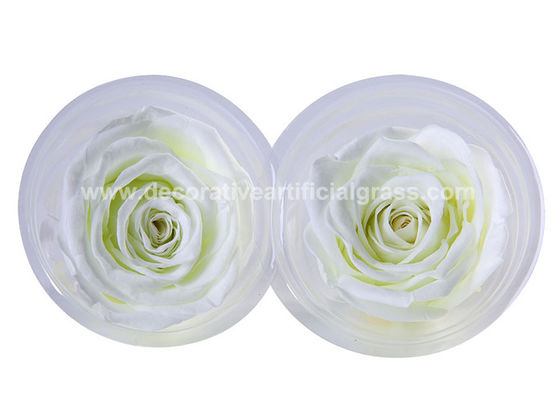 Ecuador Bewaarde Rose Head Long Life Roses voor de Decoratie van de Partijgebeurtenis