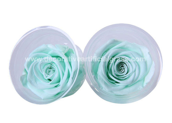 Ecuador Bewaarde Rose Head Long Life Roses voor de Decoratie van de Partijgebeurtenis