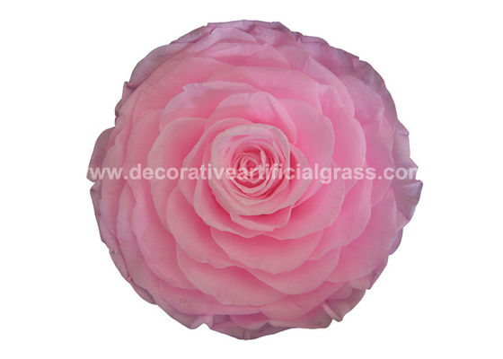 100% Real A Grade Preserved Long Lasting Rose Flower For Wedding Decoration