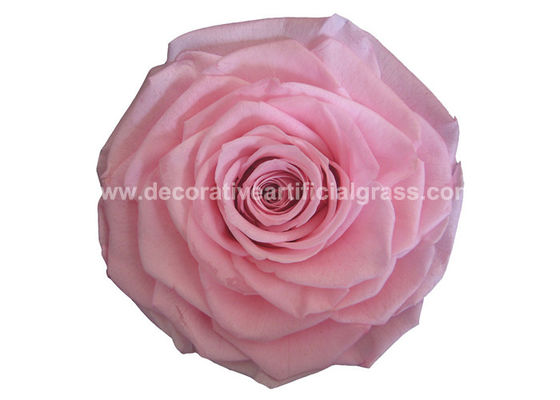 100% Real A Grade Preserved Long Lasting Rose Flower For Wedding Decoration