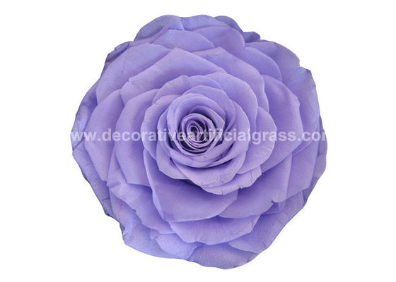 100% Real A Grade Preserved Long Lasting Rose Flower For Wedding Decoration