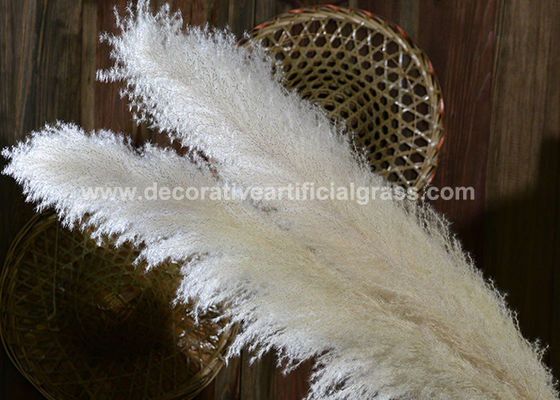 Eco-Friendly Preserved Fresh Flowers Silk Pampas Grass Wedding Bouquet