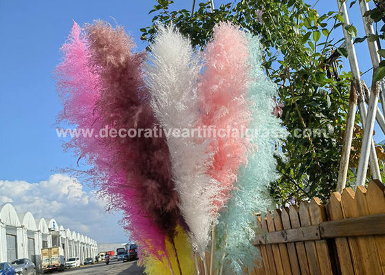 30cm 45cm 50cm Preserved Fresh Flowers Pampas Grass Natural Dried