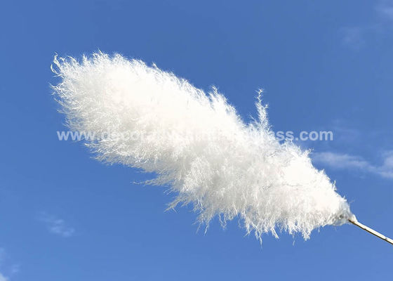 DIY Projects Preserved Fresh Flowers Pampas Dried Decor OEM ODM