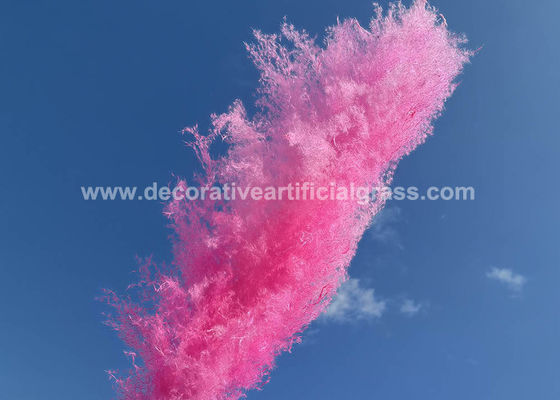 DIY Projects Preserved Fresh Flowers Pampas Dried Decor OEM ODM