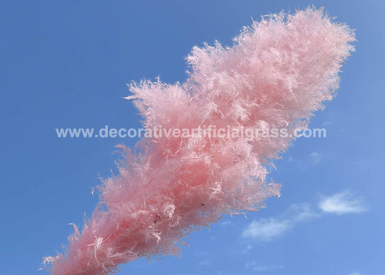 DIY Projects Preserved Fresh Flowers Pampas Dried Decor OEM ODM