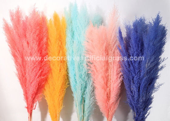 40cm 50cm 60cm Preserved Fresh Flowers Natural Dried Fluffy Pampas Grass