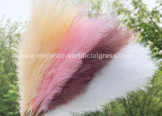 Natural Pampas Grass Decor Preserved Fresh Flowers For Dropshipping