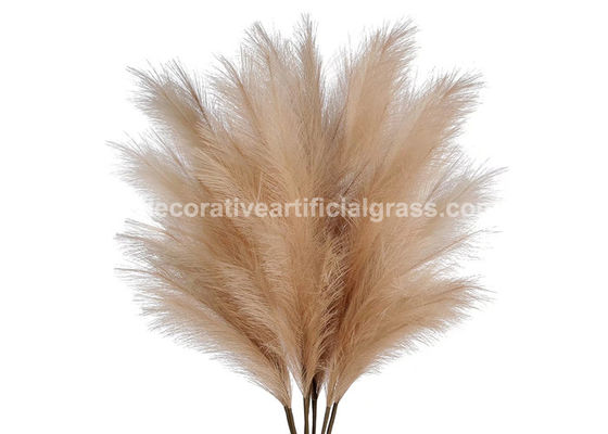 Natural Pampas Grass Decor Preserved Fresh Flowers For Dropshipping