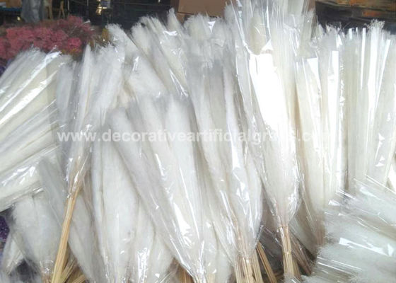 Natural Pampas Grass Decor Preserved Fresh Flowers For Dropshipping
