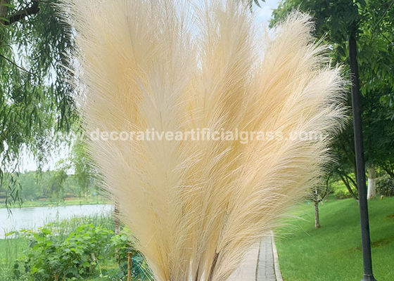 60cm Preserved Fresh Flowers Home Decor Natural Dried Pampas