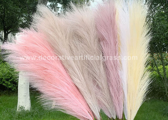 60cm Preserved Fresh Flowers Home Decor Natural Dried Pampas