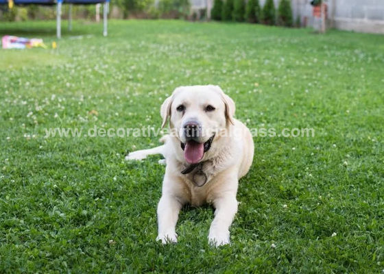 No Fading Lead-Free Non-Toxic Soft Fake Artificial Grass For Pets
