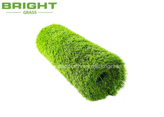 Artificial Realistic Flooring Grass Roll Carpet For Garden Backyard 17000D	2 * 25m / Roll
